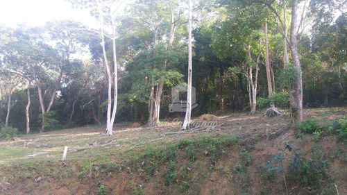 Imagem 2 de 8 de Terreno À Venda, 1001 M² Por R$ 270.000,00 - Piratininga - Niterói/rj - Te0015