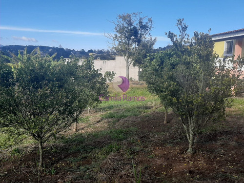 Imagem 6 de 19 de Chácara À Venda, Ipelândia, Suzano/sp. - Ch00067 - 70021979