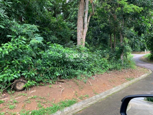 Imagem 4 de 13 de Terreno No Portogalo - Angra Dos Reis - 2044007532 - 34959883