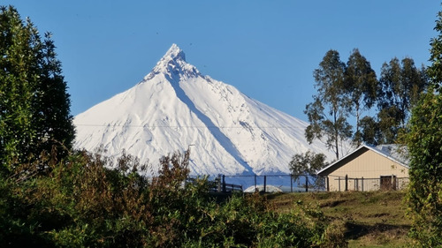 Imagen 3 de 12 de Se Vende Campo Sector Puyehue - Osorno