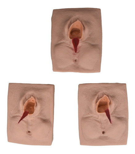 Zeigen Simulador De Vulva Para Sutura Por Episiotomía 