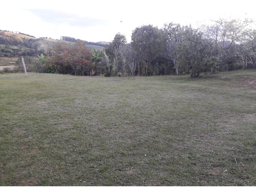 Venda Sítio - Pocinhos Do Rio Verde 72.000m2 (aceita Troca) Com Mina