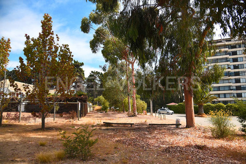 Terreno En Algarrobo Central