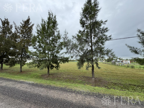 Venta De Terreno En Campos De Roca Ii