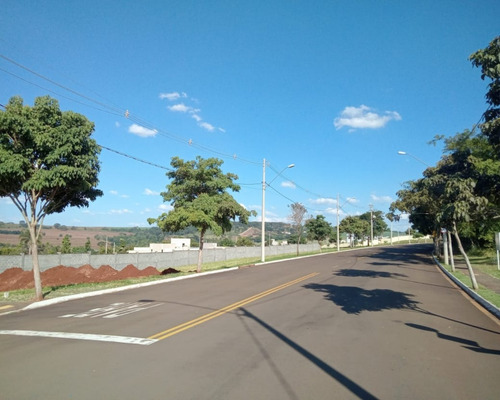 Imagem 7 de 13 de Terreno - Te00270 - 69512010