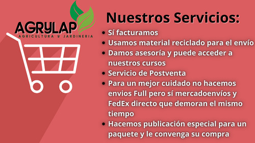 1 Sobre De Semillas De Salvia
