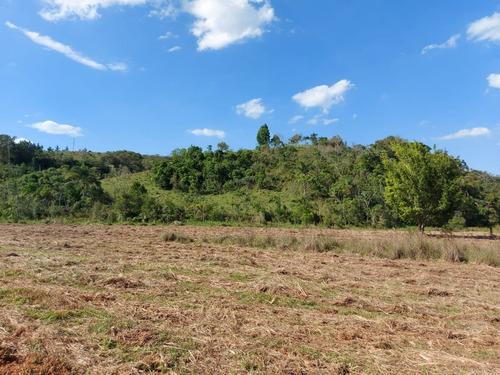 Imagem 24 de 30 de 03o-terreno A Venda Em Igarata