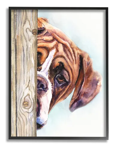 Retrato Enmarcado De Cachorro Boxer 11 X 14 Pulgadas Stupe