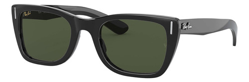 Ray Ban Rb4171 601/5q Erika Ciruela Negro Polarizado