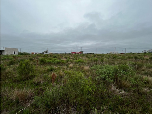 Vendo Lote De 1 Hectárea En San Justo, Entre Ríos.