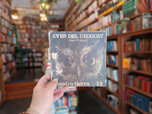 Nuestra Tierra 13. Aves Del Uruguay. J. P. Cuello (Usado)