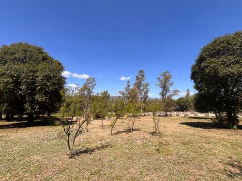 Lotes En Venta Villa General Belgrano El Bosquecillo Cód 2144