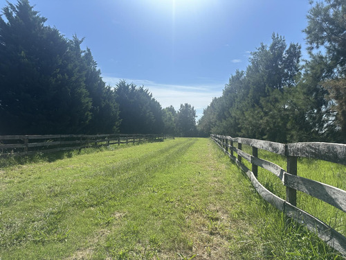 Venta Campo Haras San Andres De Giles