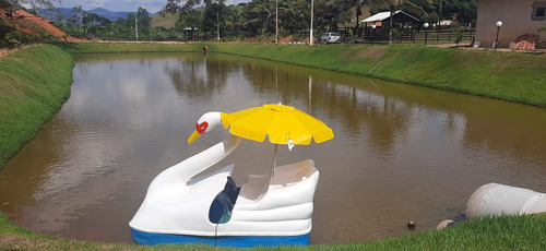 Pedalinhos Cisne De Fibra De Vidro