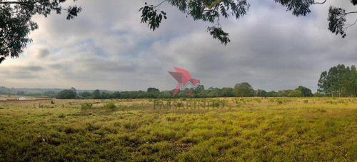 Imagem 5 de 5 de Chácara À Venda, 50000 M² Por R$ 1.570.000,00 - Faxinal - Torres/rs - Ch0065