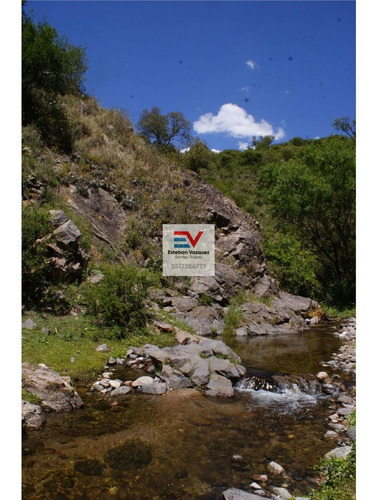 Imagen 14 de 30 de Venta. 67 Hectareas En Candonga, Cordoba. Con 2 Km De Costa De Rio. Titulos Perfectos