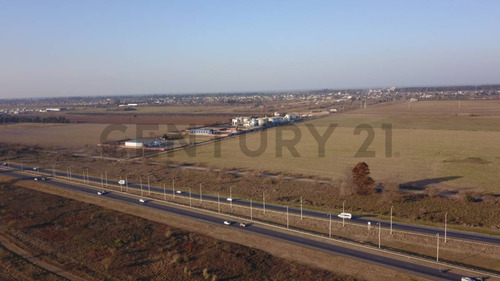 Venta De Campo, Capitán Bermúdez | Valor X Hectárea