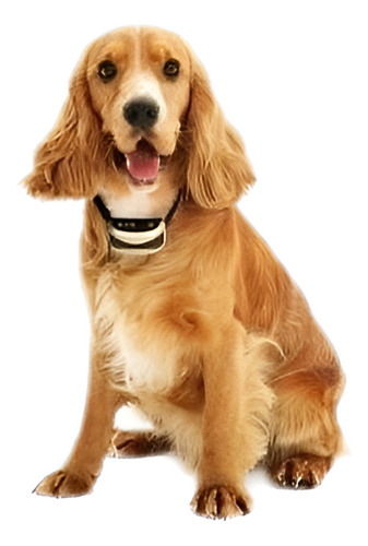 Cachorro Mascota Perros Auag Corteza Collar Recargable Imper