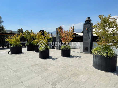 Departamento Arriendo 3 Dormitorios La Dehesa Newland
