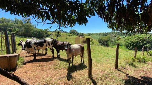 Imagem 4 de 10 de Excelente Área De 16 Alqueires, Com Potencial Valorização Em Região De Grande Desenvolvimento, Próximo Ao Tecnoparque De Maringá. - Si0003