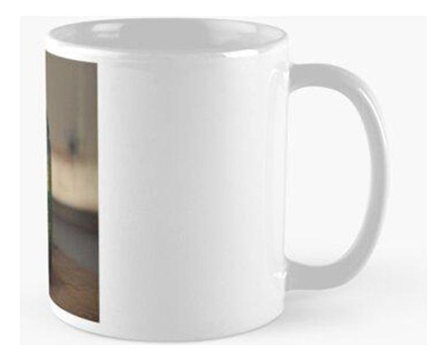 Taza Botella Con Paisaje Interior Calidad Premium