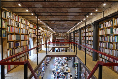 Lecciones De Antropologia: Fragmentos De Estetica Y Antr...