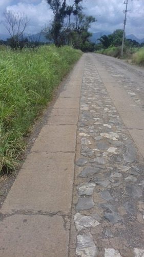 Imagen 8 de 8 de Se Vende Terreno En Sta. Gertrudis (fortin) ¡ideal Para Desarrolladores!