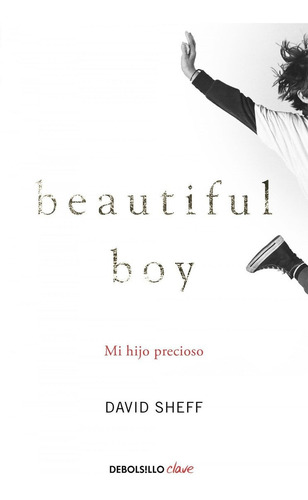 Libro: Mi Hijo Precioso (beautiful Boy). Sheff,david. Debols