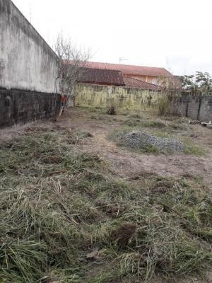 Imagem 4 de 7 de Terreno Murado Com 365 M², Em Mongaguá/sp Ter025-pc
