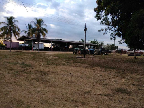 Imagen 4 de 24 de Hato En Venta En Santa Bárbara De Barinas