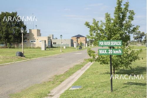 Imagen 6 de 30 de Lote En Venta En Belleville - Canning