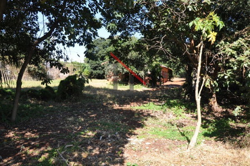 Imagem 13 de 16 de Terreno Para Empreendimento - 145028-v