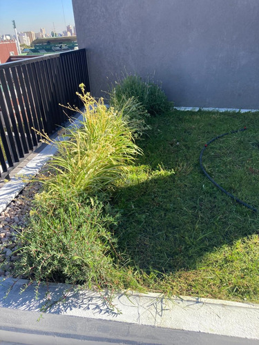 Terrazas Verdes, Jardines En Terrazas Y Edificios 1m2