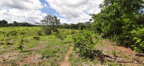 Te Vendo Excelente Finquita. En Monte Plata.