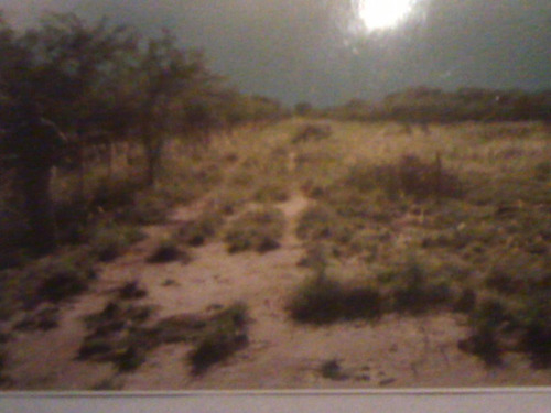 Campo De 65 Hectáreas C/escritura, El Empachao. Dpto. Sarmiento. Sgo. Del Estero