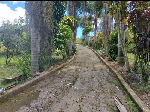 Imagem 27 de 29 de Chácara Ibiuna 2.400 Mts Casa,pomar, Piscina, Oportunidade