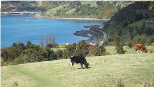 Maravilloso Terreno En Chiloé - Oportunidad De Inversión