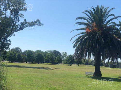 Imagen 7 de 20 de Venta Lote Manzanares La Ranita