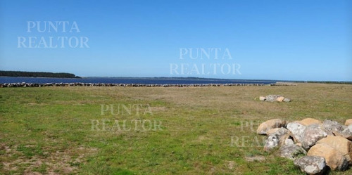 Chacra En Venta En La Rinconada- Ref: 357