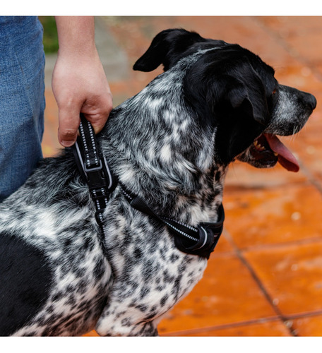 Arnés Antitirones Perro Chico Mediano Grande Pechera Comoda Rosa Grande Rumapet