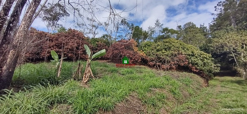 Imagem 5 de 8 de Terreno Medindo 5.401 M² Em Miracatu-sp Ref.: 0686