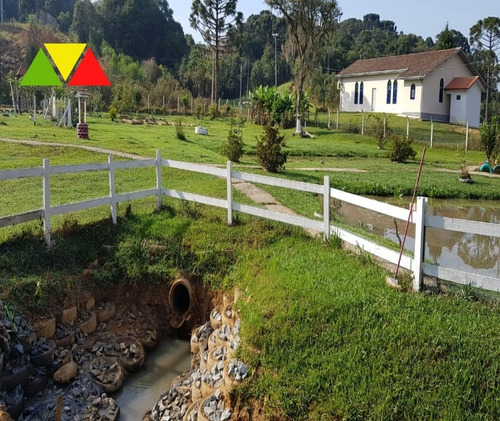 Imagem 13 de 30 de Chácara Em Cai De Baixo - Ch00088 - 34982990
