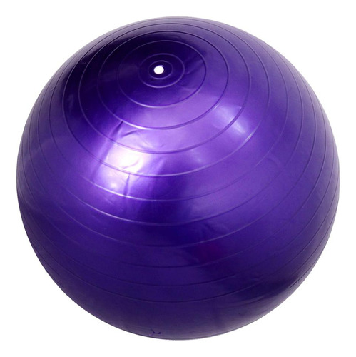 Wpd Pelota De Ejercicio Pelota De De Fitness Anti-explosión
