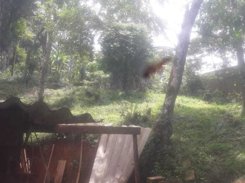 Molezinha Chacara 3.700m2, Com Casa Modesda