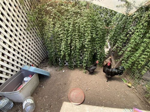 Casa En Venta De 8 Dorm. En Colina