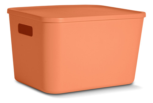 Cajón, Caja, Cesto Organizador Liso Con Tapa 32x24 - Colores