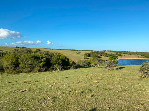 Chacra 18 Hectáreas Sobre Asfalto Camino A Garzon Con Lago