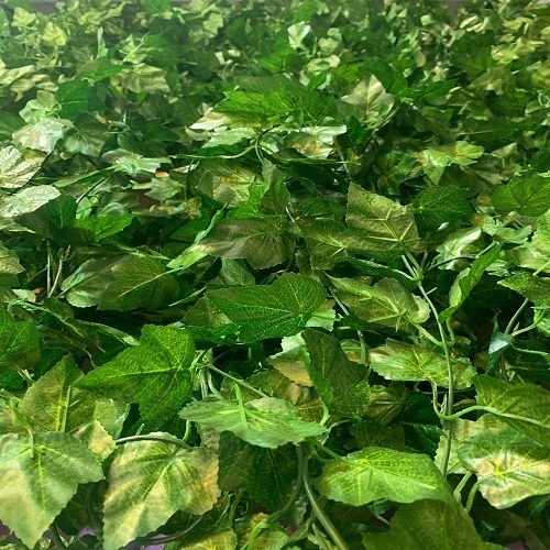 Plantas Artificiales, Lady Pia, Tira De 2,5m Largo,