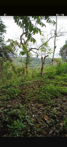 Imagen 7 de 10 de Se Vende De Oportunidad Hermosa Finca De 40 Hectáreas