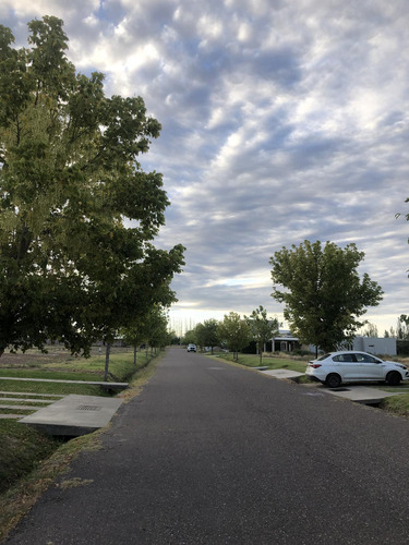 Terreno En Venta En Barrio Privado Viñas Del Sur - San Rafael - Mendoza